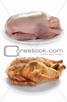 raw and cooked duck isolated