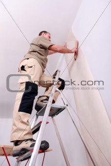 Wall papering man