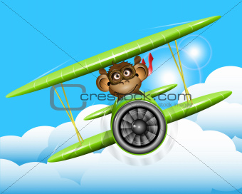 monkey on a plane