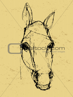 horse sketch on paper