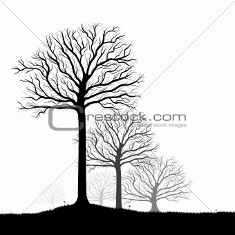 Trees Silhouette, Black and White Vector Shape and Grass