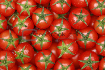 Small cocktail tomatoes