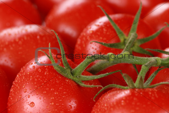 Closeup of tomatoes with water drops