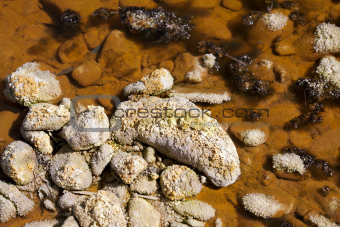 acidic crystals in rio Tinto