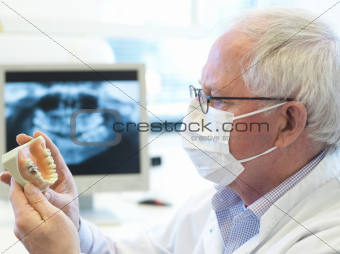 senior dentsit
