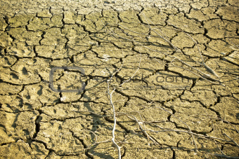 Dry soil in lake bottom during dryness