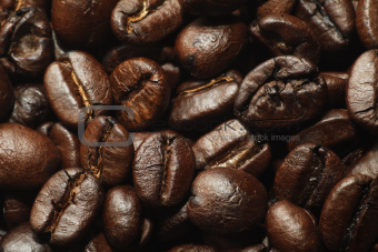 coffee beans5