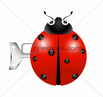 Ladybug with key