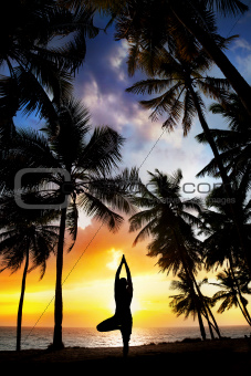 Yoga tree pose around palm trees