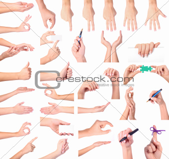 Set of woman hands isolated on white background 