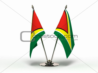 Miniature Flag of Guyana (Isolated)
