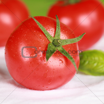 Tomato with basil