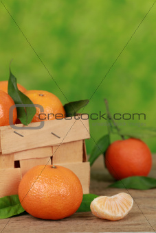 Tangerines in a box