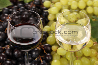 White wine and red wine in glasses