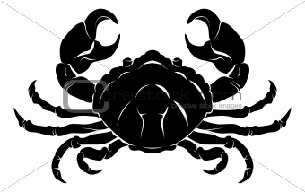 Stylised Crab illustration