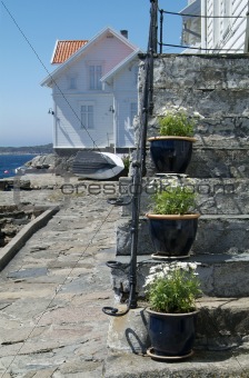 House and flowers in Loshavn, Norway
