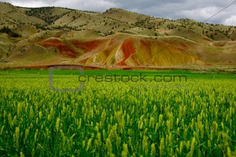 John Day National Monument Painted Hills and wheat fields