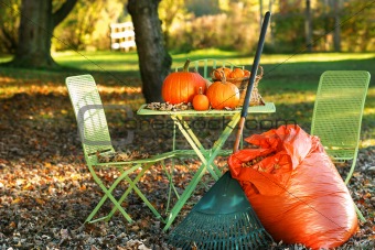 Raking autumn leaves 