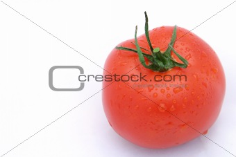 Tomato On White Horizontal