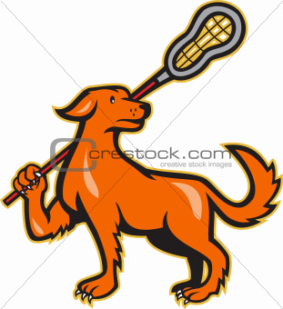 Dog With Lacrosse Stick Side View
