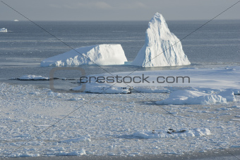 Icebergs near the island.