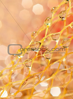 Gold web