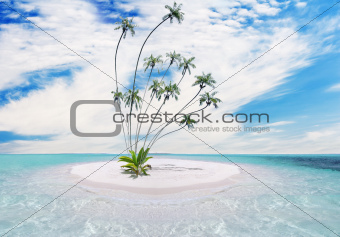 Tropical island with palm