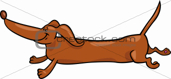 running dachshund dog cartoon illustration
