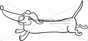 running dachshund cartoon for coloring