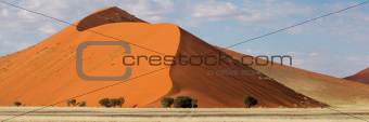 Desert dune panorama