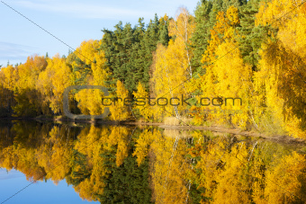 autumnal pond, Czech Republic