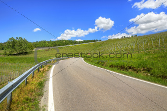Road through hills and vineyards. Piedmont, Italy.