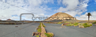 Volcano-agricultural landscape of the Lanzarote