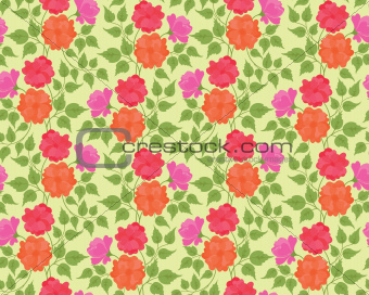 Colorful flower seamless background