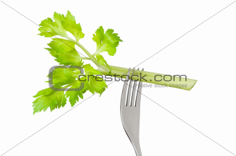 celery stalk on fork isolated