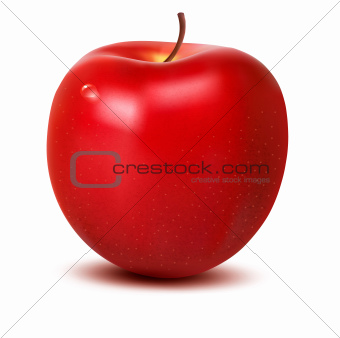 Fresh apple with green leaf. Vector illustration