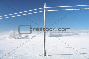 Empty wild winter landscape blue sky, snowy telefony lines