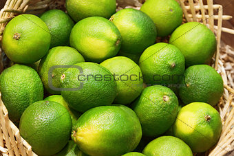 Closeup of many lime fruits