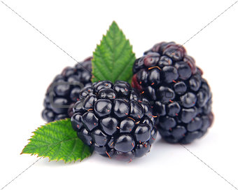 Sweet blackberry fruit