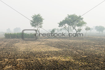 Foggy cultivated plowed fields 