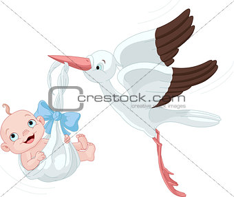 Stork And Baby Boy