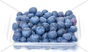 Fresh Blueberries in Plastic Container