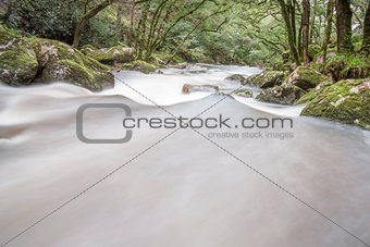 Fast Flowing River in Woodland, Dartmoor, UK.