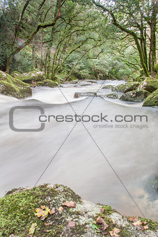 Fast Flowing River in Woodland, Dartmoor, UK.