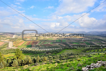 Israeli landscape