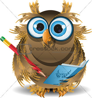 owl secretary
