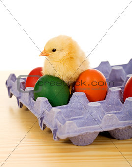 Small chicken with easter eggs