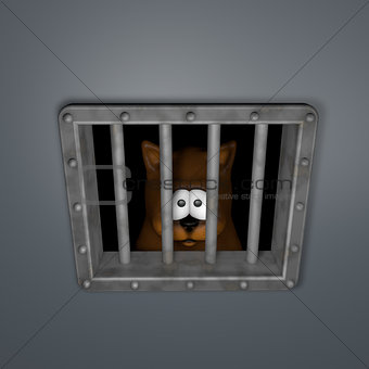 cat in prison