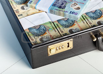 Romanian currency in a briefcase