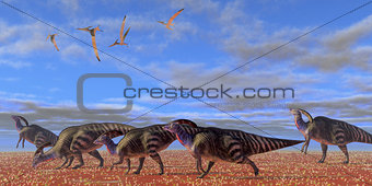 Parasaurolophus Desert
